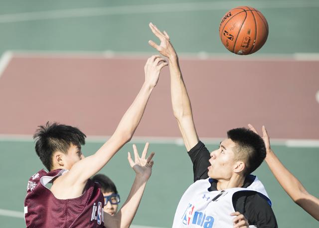 麻豆一区二区免费播放网站