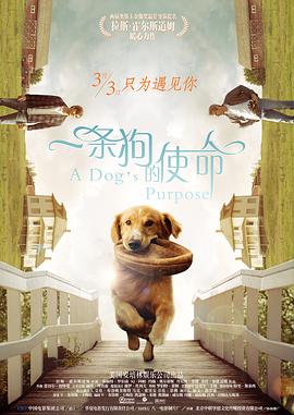 国模视频在线